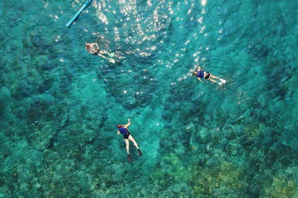 Snorkel en Puerto Morelos