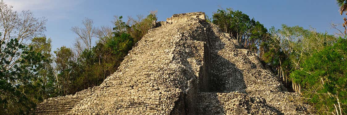 Cobá